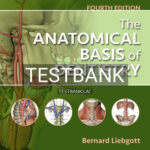 Test Bank for Anatomical Basis of Dentistry 4th Edition by Liebgott