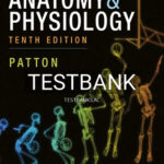Test Bank for Anatomy and Physiology 10th Edition by Patton