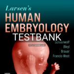 Test Bank for Larsens Human Embryology 6th Edition by Schoenwolf