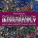 Test Bank for Cellular and Molecular Immunology 10th Edition by Abbas