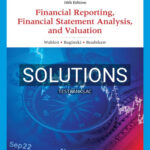Solutions for Financial Reporting Financial Statement Analysis and Valuation 10th Edition by Wahlen