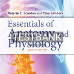 Test Bank for Essentials of Anatomy and Physiology 8th Edition by Scanlon