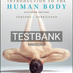 Test Bank for Introduction to the Human Body 11th Edition by Tortora