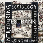 Test Bank for Introducing Sociology Using the Stuff of Everyday Life 1st Edition by Johnston