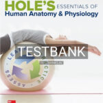 Test Bank for Hole's Essentials of Human Anatomy & Physiology 13th Edition by Shier