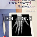 Solutions for Maders Understanding Human Anatomy and Physiology 9th Edition by Longenbaker