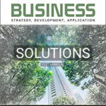 Solutions for Business Strategy Development Application 3rd Edition by Bissonette