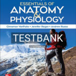 Test Bank for Seeley's Essentials of Anatomy and Physiology 11th Edition by VanPutte