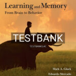 Test Bank for Learning and Memory From Brain to Behavior 4th Edition by Gluck