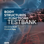 Test Bank for Body Structures and Functions Updated 13th Edition by Scott