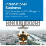 Solutions for International Business Opportunities and Challenges in a Flattening World Version 3 0 3rd Edition by Carpenter