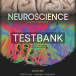 Test Bank for Neuroscience 6th Edition by Purves