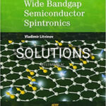 Solutions for Wide Bandgap Semiconductor Spintronics 1st Edition by Litvinov