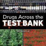 Drugs Across the Spectrum 9th Goldberg Test Bank