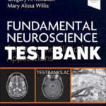 Fundamental Neuroscience for Basic and Clinical Applications 6th Haines Test Bank