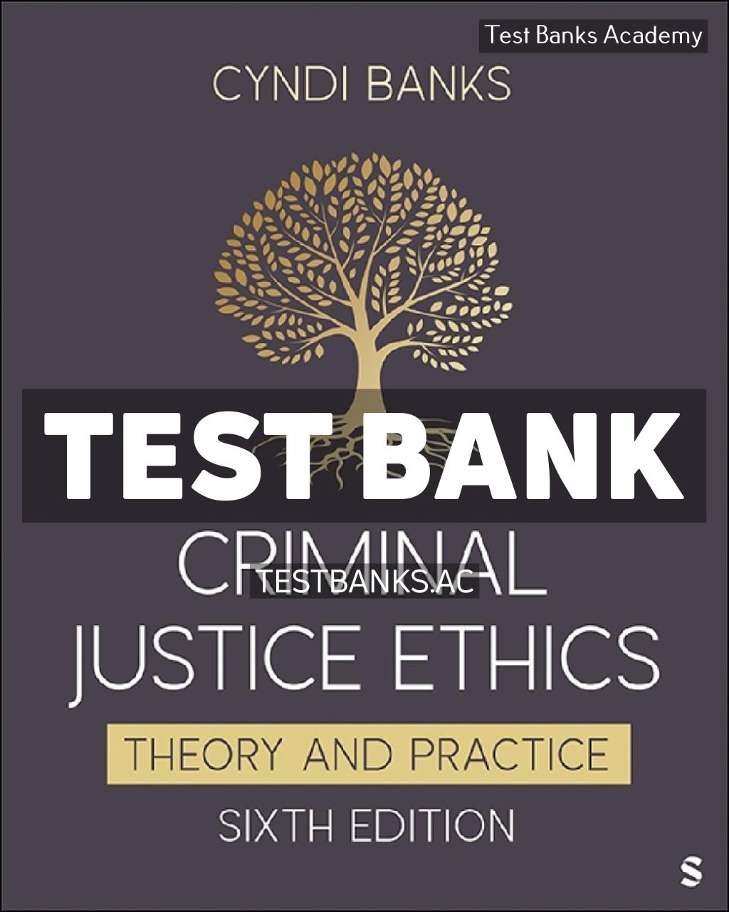 9781071875384-TEST-BANK Criminal Justice Ethics 6th Banks Test Bank