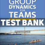 Group Dynamics for Teams 7th Levi Test Bank