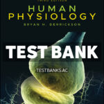 Human Physiology 3rd Derrickson Test Bank