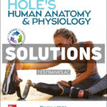 Holes Human Anatomy and Physiology 2024 Release 1st Welsh Solutions Manual