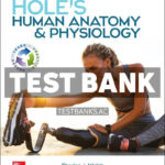 Holes Human Anatomy and Physiology 2024 Release 1st Welsh Test Bank