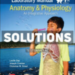 Lab Manual to accompany McKinleys Anatomy & Physiology 2025 Release 1st McKinley Solutions Manual