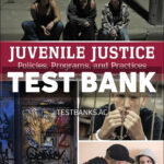 Juvenile Justice - Policies Programs and Practices 2026 Release 1st Taylor Test Bank