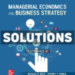Managerial Economics and Business Strategy 2025 Release 1st Baye Solutions Manual