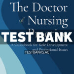 Doctor of Nursing Practice 5th Chism Test Bank