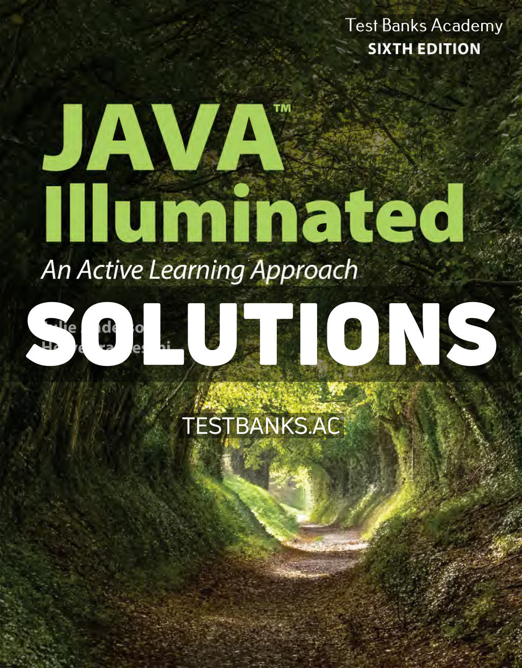 9781284250480-SOLUTIONS Java Illuminated 6th Anderson Solutions Manual