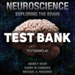 Neuroscience Exploring the Brain 5th Bear Test Bank