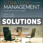 Strategic Management 5th Dyer Solutions Manual