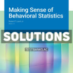 Making Sense of Behavioral Statistics v1 1st Lorch Solutions Manual