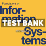 Foundations of Information Systems 1st Raisinghani Test Bank