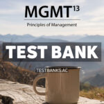 MGMT 13th Williams Test Bank