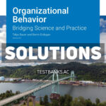 Organizational Behavior v5 1st Bauer Solutions Manual