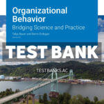 Organizational Behavior v5 1st Bauer Test Bank