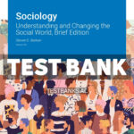 Sociology v4 1st Barkan Test Bank