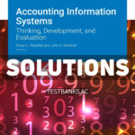 Accounting Information Systems v2 1st Raschke Solutions Manual