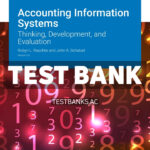 Accounting Information Systems v2 1st Raschke Test Bank